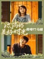 流淌的美好時(shí)光 青梅竹馬篇?jiǎng)∏榻榻B(1-20全集)