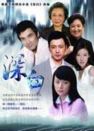 再婚進行時劇情介紹(1-38全集)