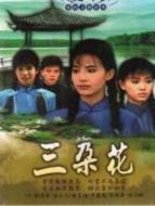 三朵花劇情介紹(1-11全集)