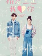稍息立正我愛(ài)你劇情介紹(1-20全集)