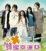 蜂蜜幸運草劇情介紹(1-23全集)