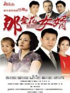 那金花和她的女婿 DVD版劇情介紹(1-37全集)