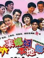 外來(lái)媳婦本地郎（21942444）劇情介紹(1-251全集)