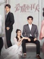 愛情的開關(guān)[TV剪輯版]劇情介紹(1-48全集)