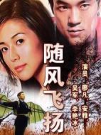 隨風飛揚劇情介紹(1-20全集)