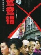 鴛鴦錯劇情介紹(1-32全集)
