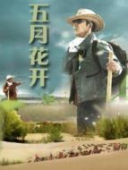 五月花開(kāi)劇情介紹(1-22全集)