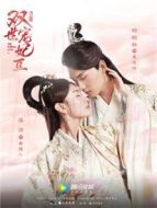 雙世寵妃2劇情介紹(1-30全集)