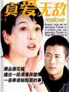 真愛無敵海報