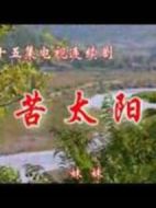 太陽(yáng)淚劇情介紹(1-80全集)