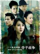 婦道之奪子戰(zhàn)爭劇情介紹(1-25全集)