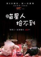 喵星人搶不到劇情介紹(1-11全集)
