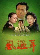 風過耳劇情介紹(1-15全集)