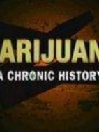 歷史頻道：大麻簡(jiǎn)史劇情介紹(1-1全集)