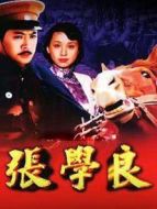 張學良劇情介紹(1-22全集)