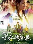 我們像葵花劇情介紹(1-29全集)