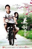 花開(kāi)的美麗季節(jié)劇情介紹(1-24全集)