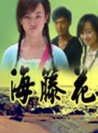 海藤花劇情介紹(1-20全集)
