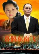 喜鵲東南飛劇情介紹(1-19全集)