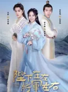 陛下在左，將軍在右劇情介紹(1-20全集)