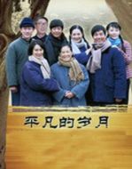 平凡的歲月海報(bào)