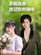 我的青春路過你的錦年劇情介紹(1-30全集)