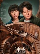 迷墻劇情介紹（1-20全集）大結(jié)局