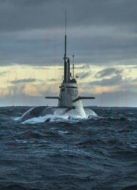 U-455神秘消失的潛艇劇情介紹(1-1全集)