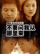 不要問(wèn)我從哪里來(lái)海報(bào)