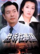 勝訴在美國(guó)劇情介紹(1-20全集)