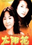 太陽花（2002版）劇情介紹(1-23全集)