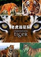 BBC：老虎遠征隊劇情介紹(1-3全集)