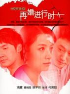 深白·再婚進行時劇情介紹(1-38全集)