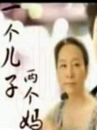 一個(gè)兒子兩個(gè)媽劇情介紹(1-1全集)