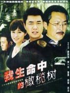 我生命中的橄欖樹劇情介紹(1-25全集)