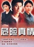 危險真情劇情介紹(1-20全集)