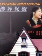 涉外保姆劇情介紹(1-20全集)