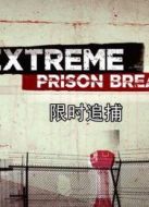 限時追捕劇情介紹(1-12全集)