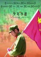 少年小趙劇情介紹(1-1全集)