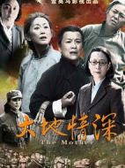 大地情深劇情介紹(1-41全集)