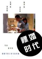 裸婚時代劇情介紹(1-30全集)