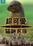 BBC：暴徒貓鼬兄弟海報