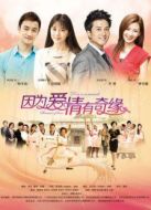 因?yàn)閻矍橛衅婢墸ㄎ磩h減版）劇情介紹(1-42全集)