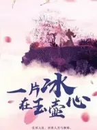 一片冰心在玉壺海報(bào)