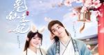 兔仙王妃劇情介紹(1-24全集)