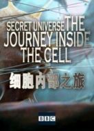 BBC：細(xì)胞內(nèi)部之旅劇情介紹(1-1全集)