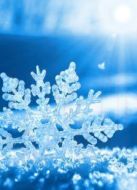 下雪吧！劇情介紹(1-1全集)