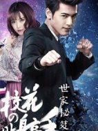 校花的貼身高手5劇情介紹(1-12全集)