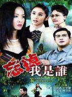 忘掉我是誰劇情介紹(1-30全集)