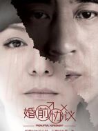 婚前協(xié)議劇情介紹(1-40全集)